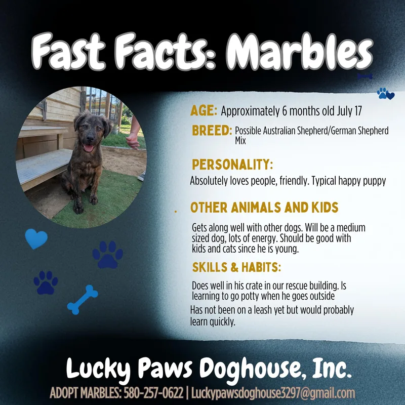 Marbles thumbnail 3