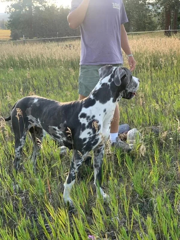 Kayla Courtesy Listing