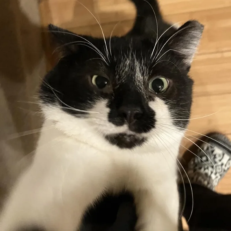 Smokey Boy thumbnail 2