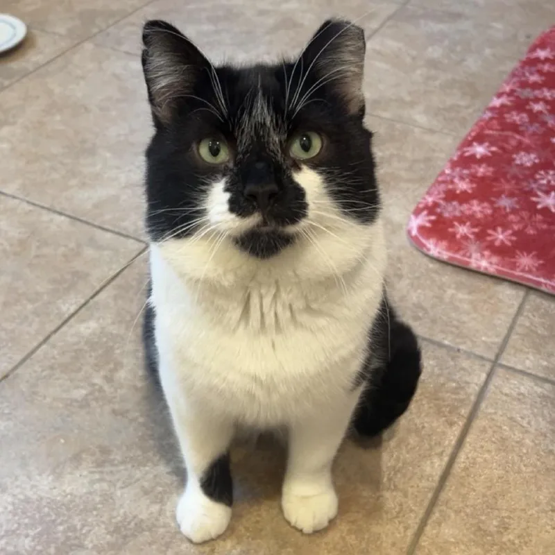 Smokey Boy thumbnail 3