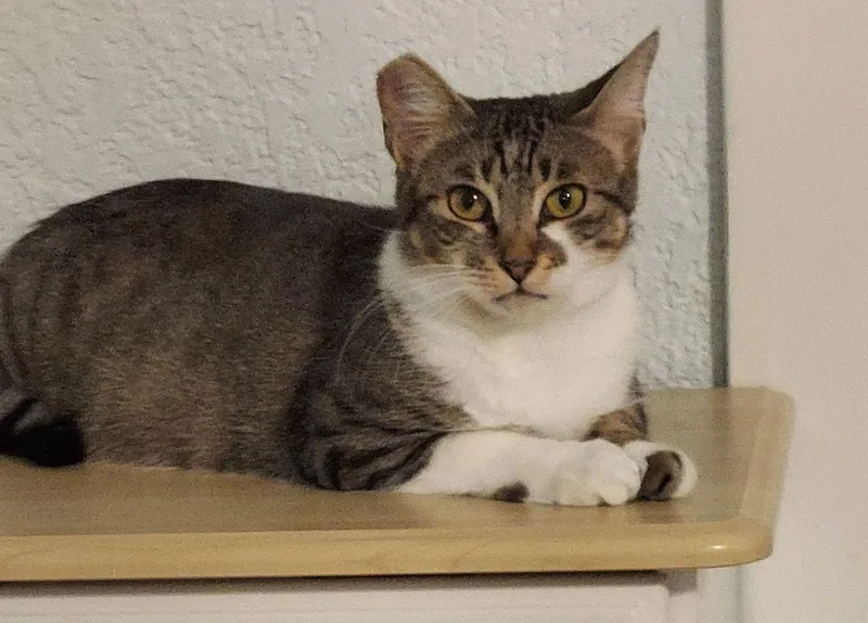 Gabriela thumbnail 2