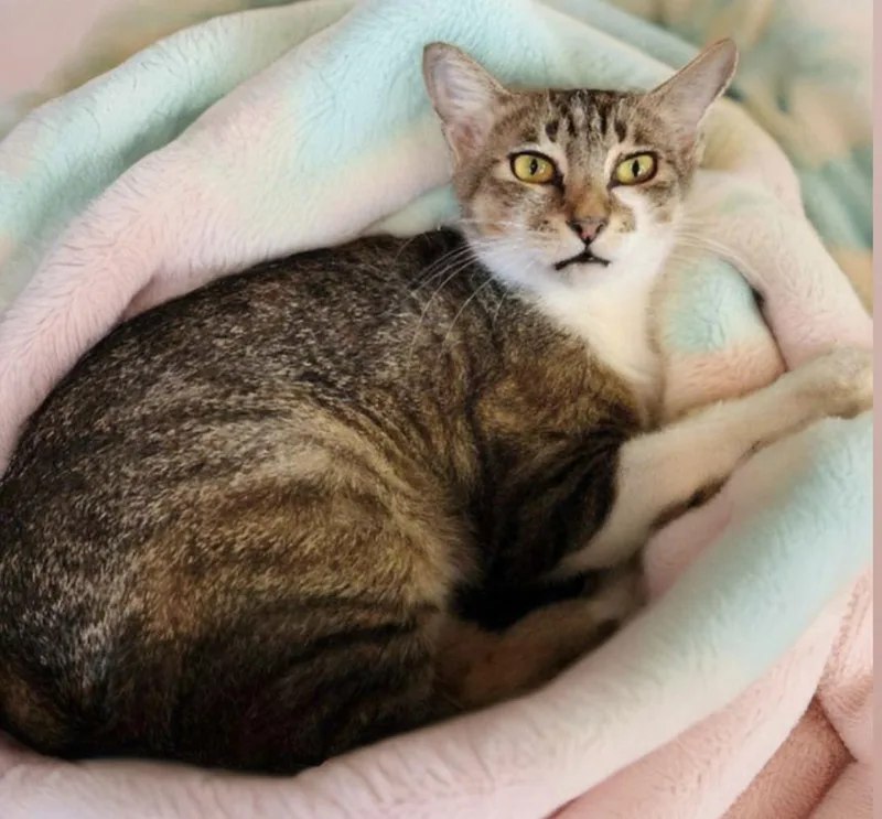 Gabriela thumbnail 3