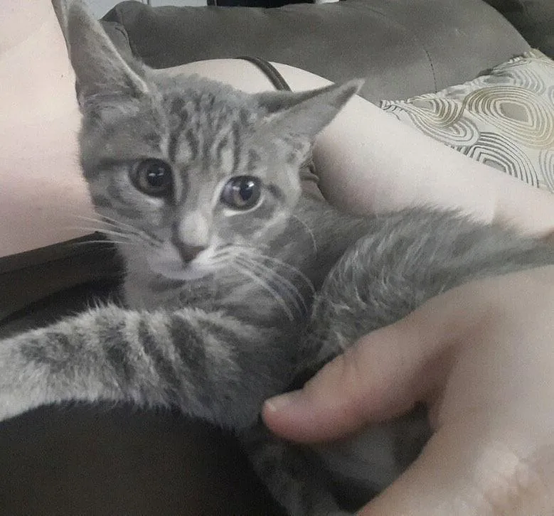 Stockholm & Nova thumbnail 2