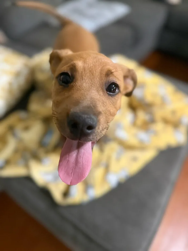 Bob
