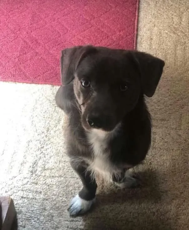 Roscoe