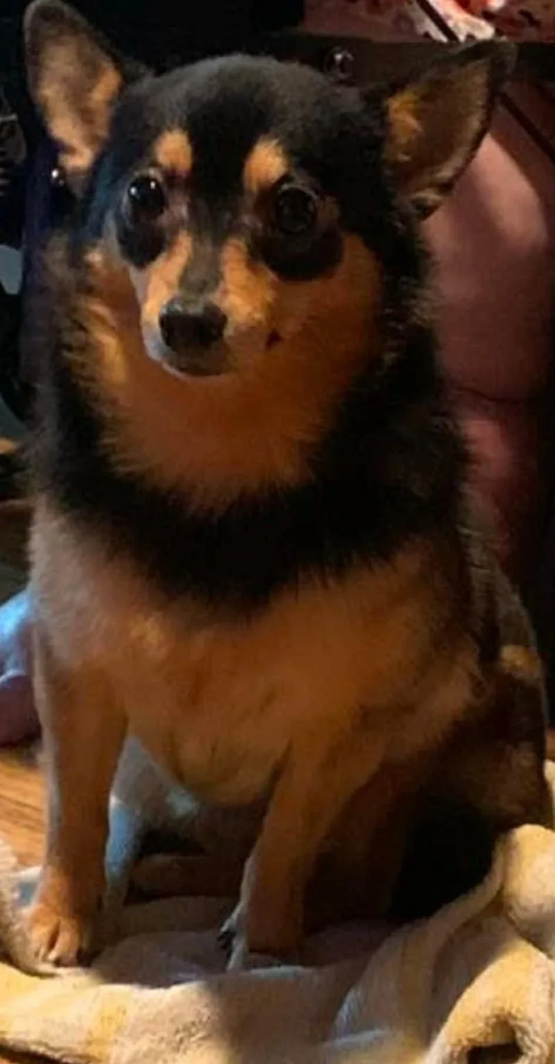 Peanut