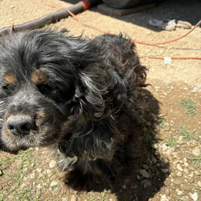 Peep D Arriving thumbnail 2