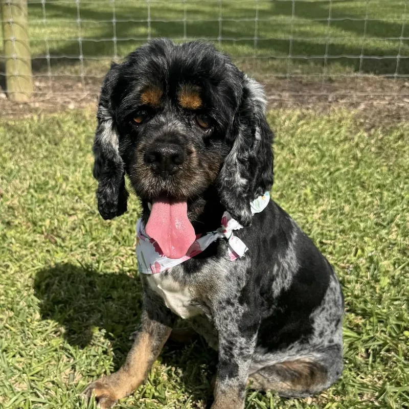 Peep D Arriving thumbnail 3