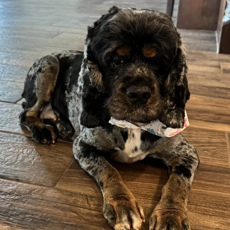 Peep D Arriving thumbnail 4