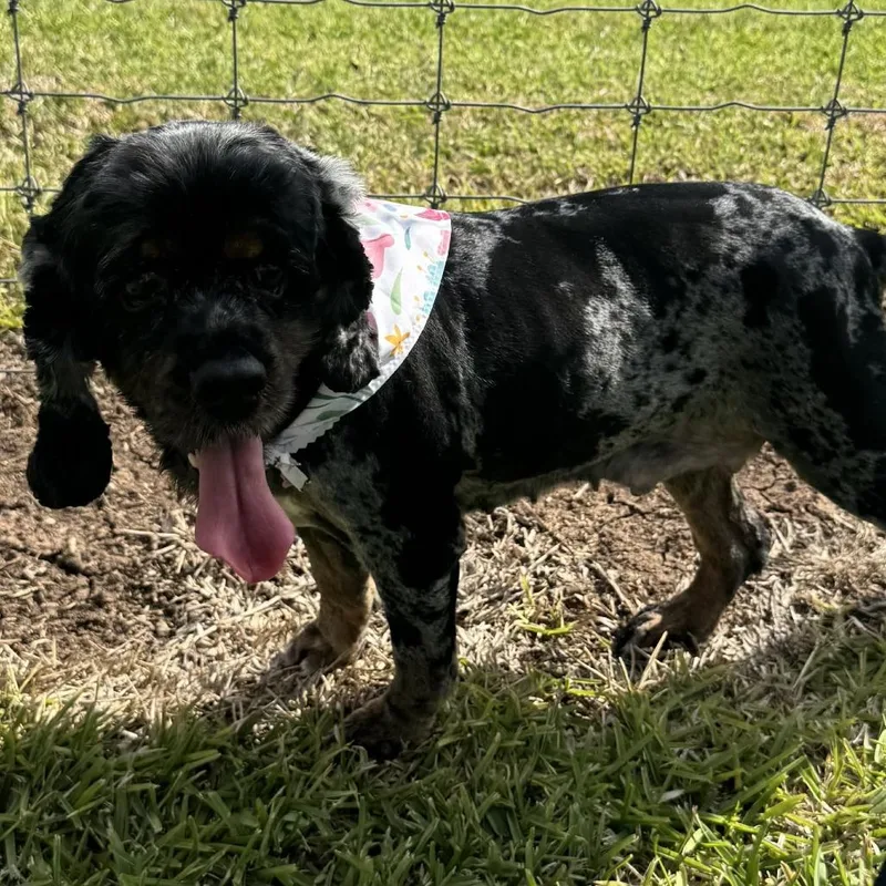 Peep D Arriving thumbnail 5