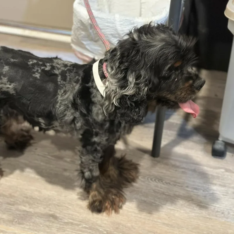 Peep D Arriving thumbnail 6