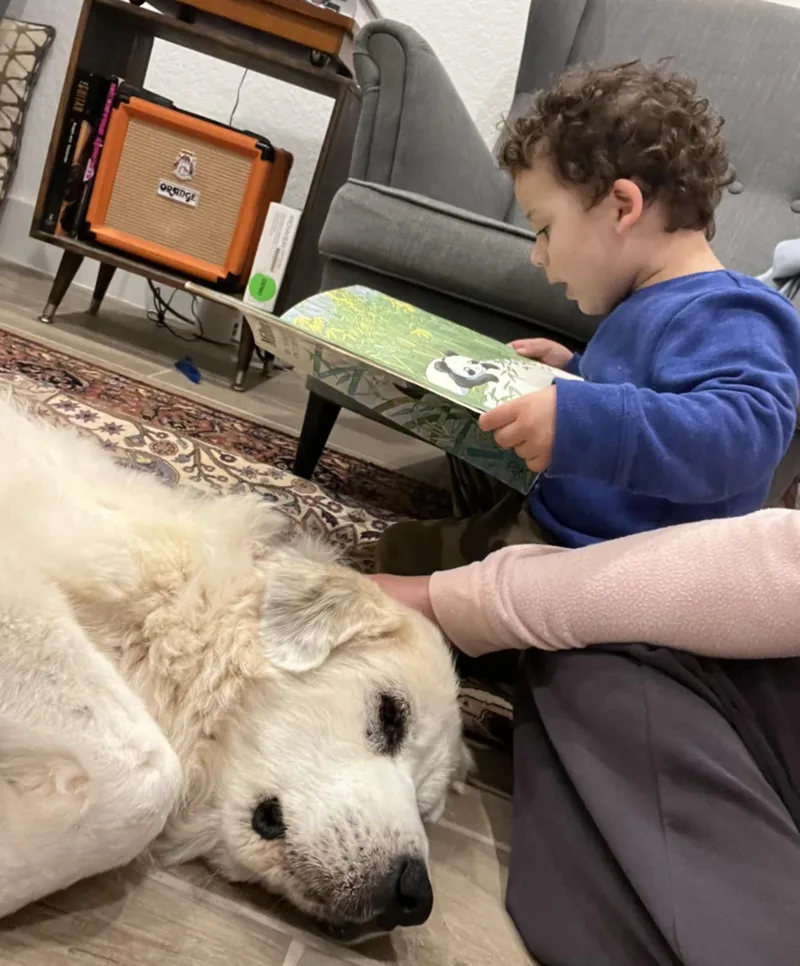 Little Sparrow Sat thumbnail 4