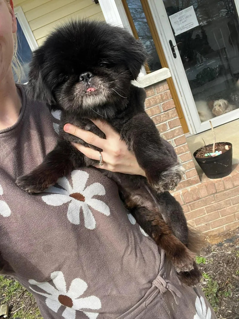 Soy Sauce thumbnail 2