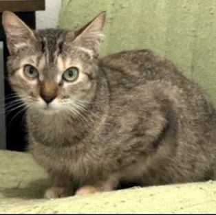 M&m & Lindale thumbnail 2