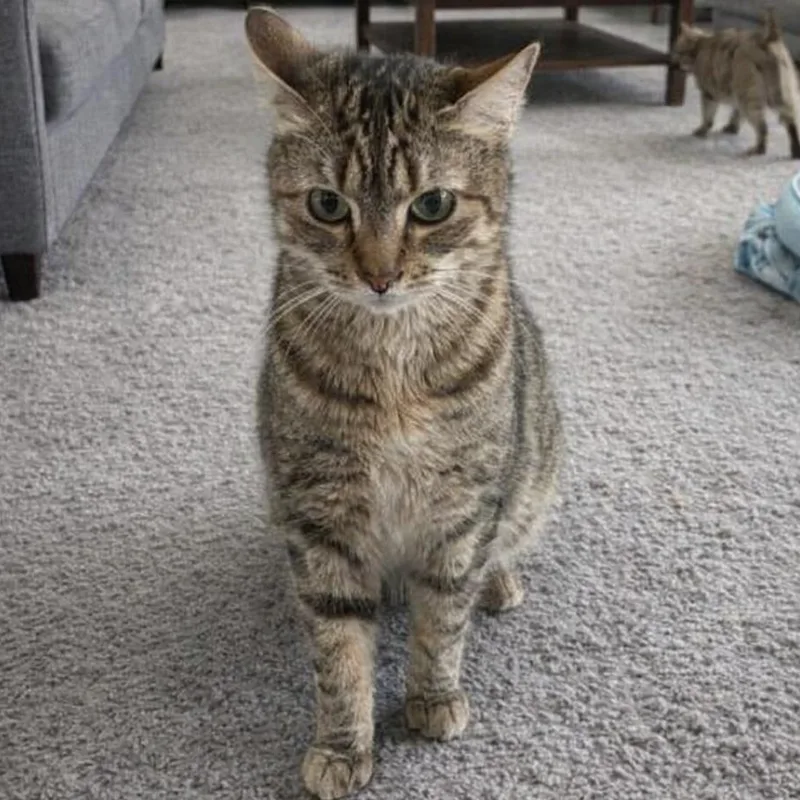 M&m & Lindale thumbnail 5