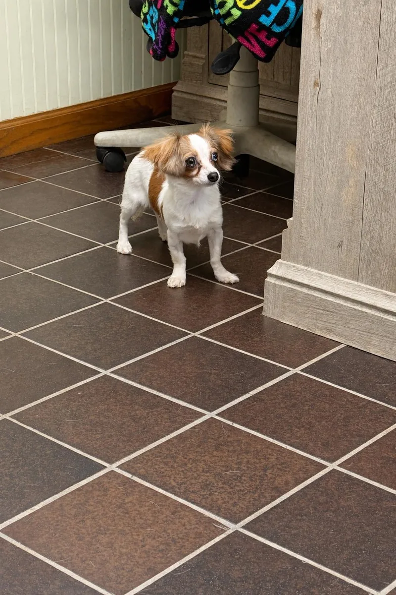 Betty Davis thumbnail 2