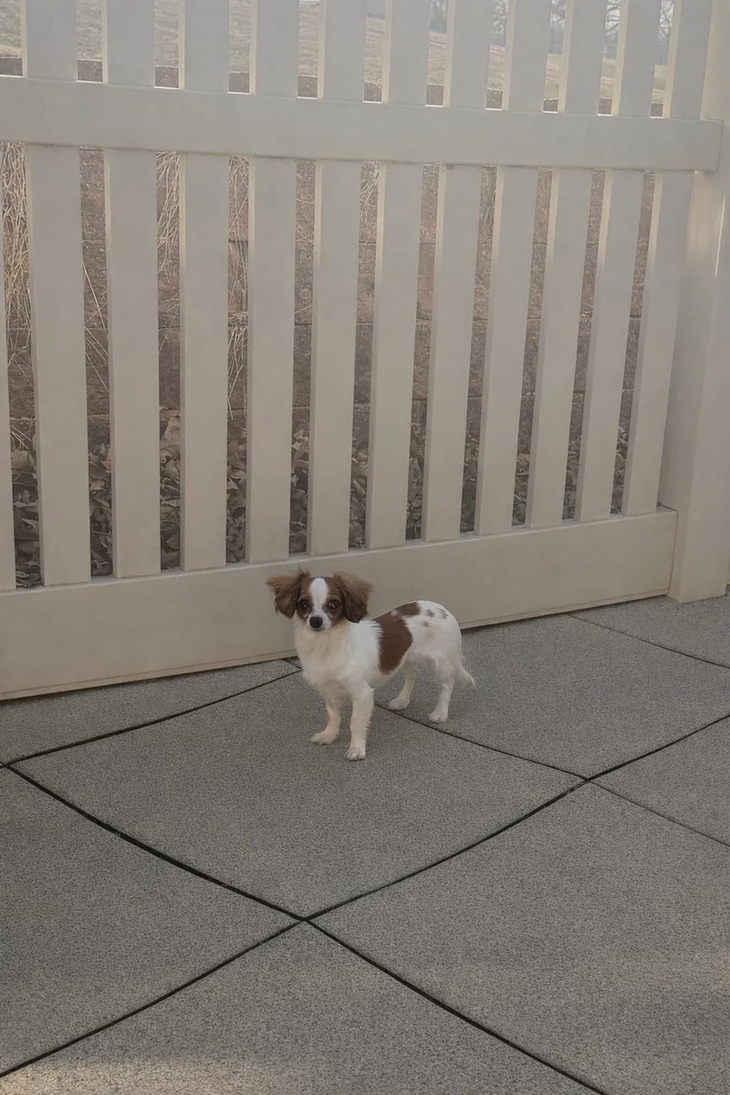 Betty Davis thumbnail 3