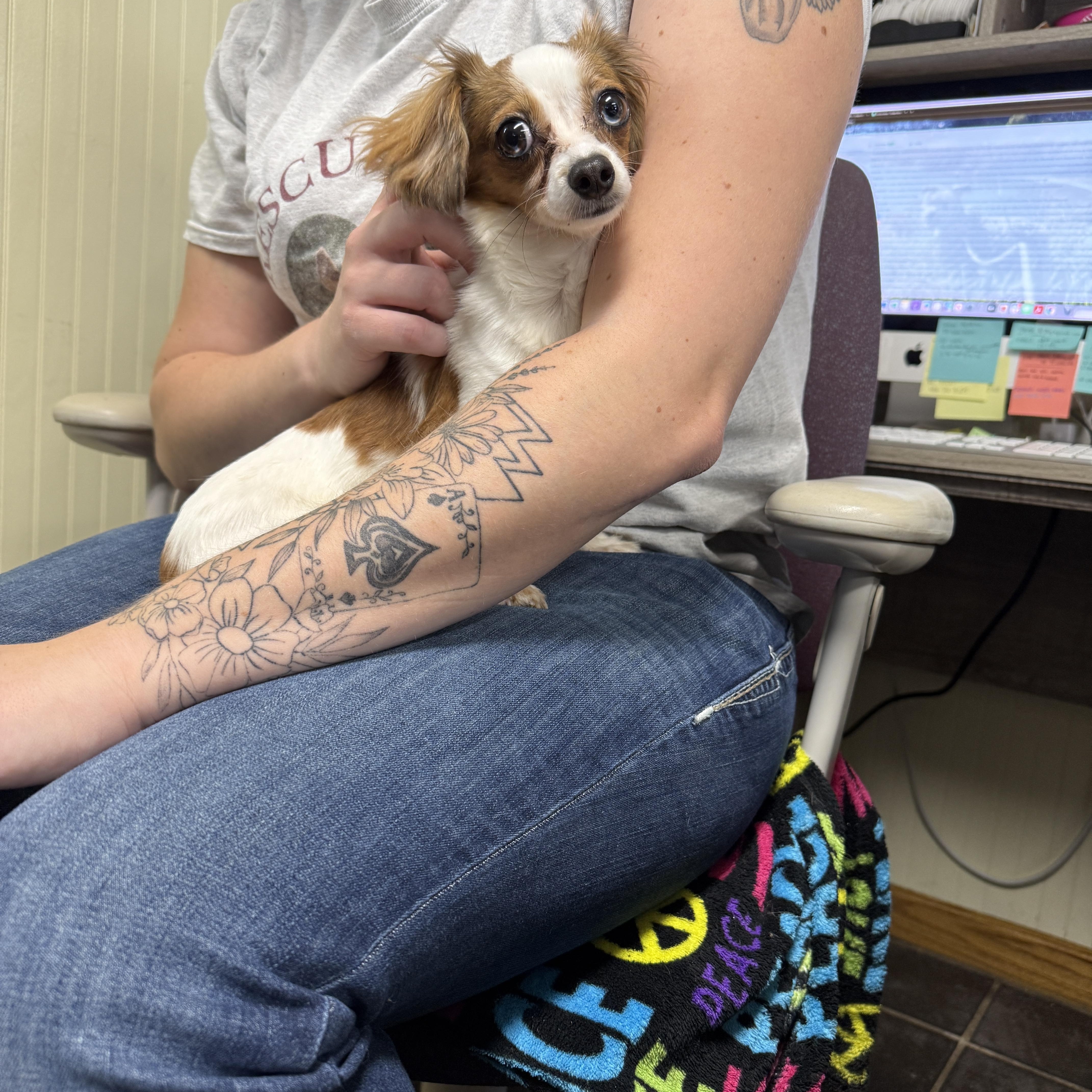 Betty Davis thumbnail 4