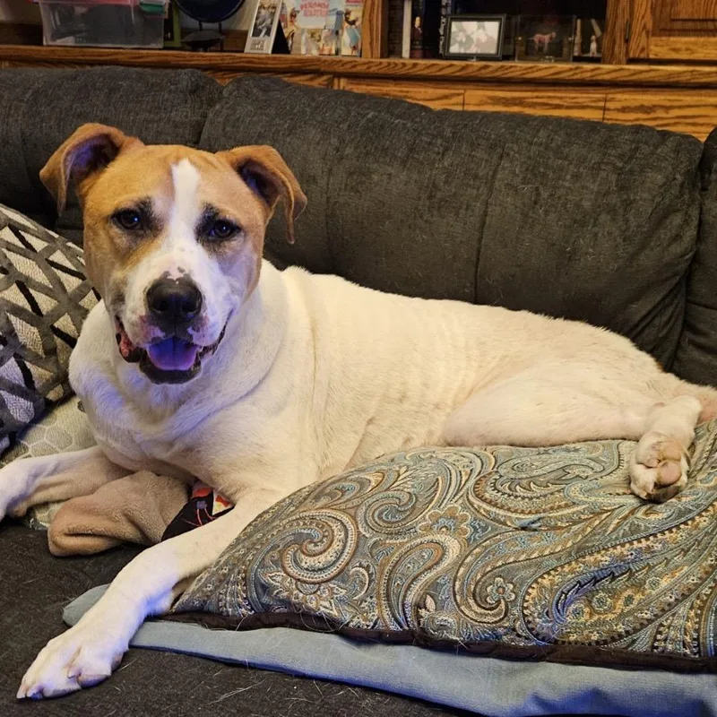 Gary All American thumbnail 2