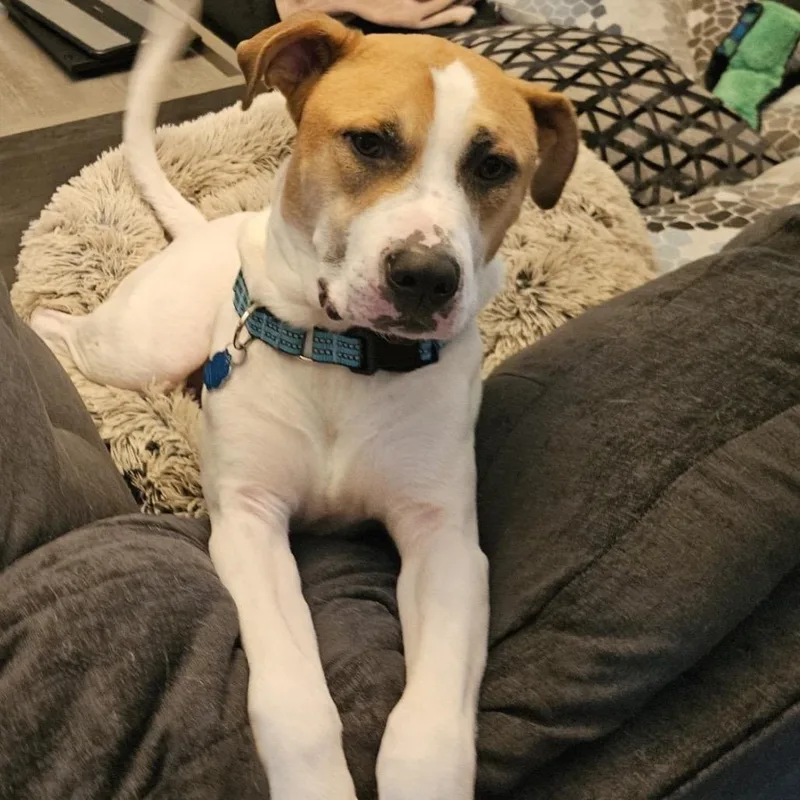 Gary All American thumbnail 3