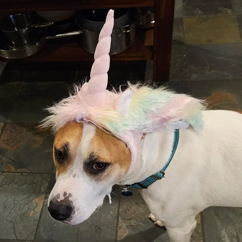 Gary All American thumbnail 6