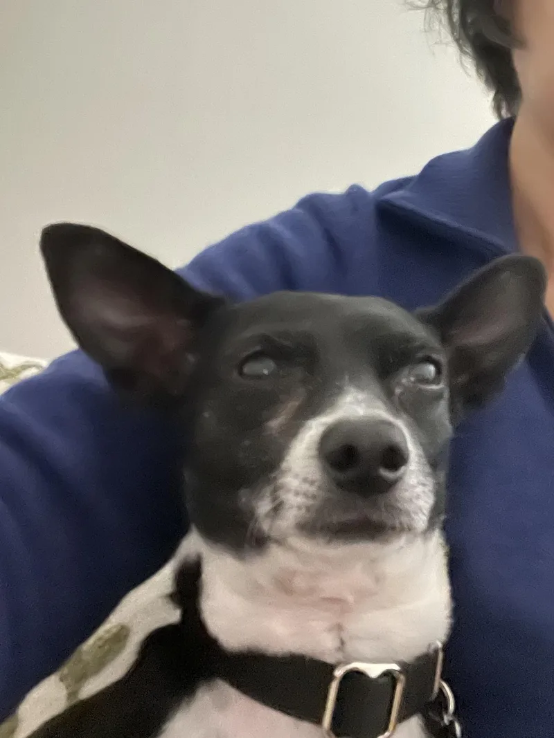 Ricky thumbnail 2