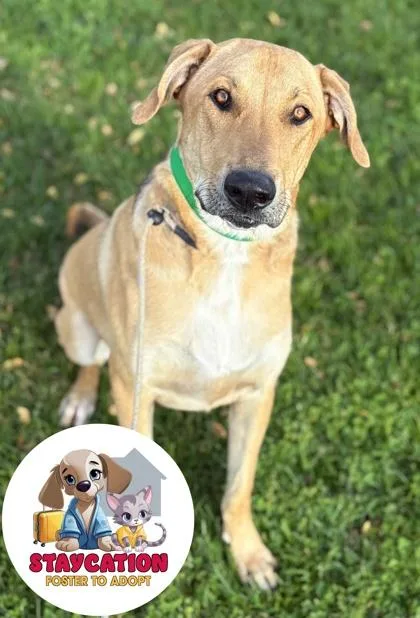 Maverick thumbnail 3