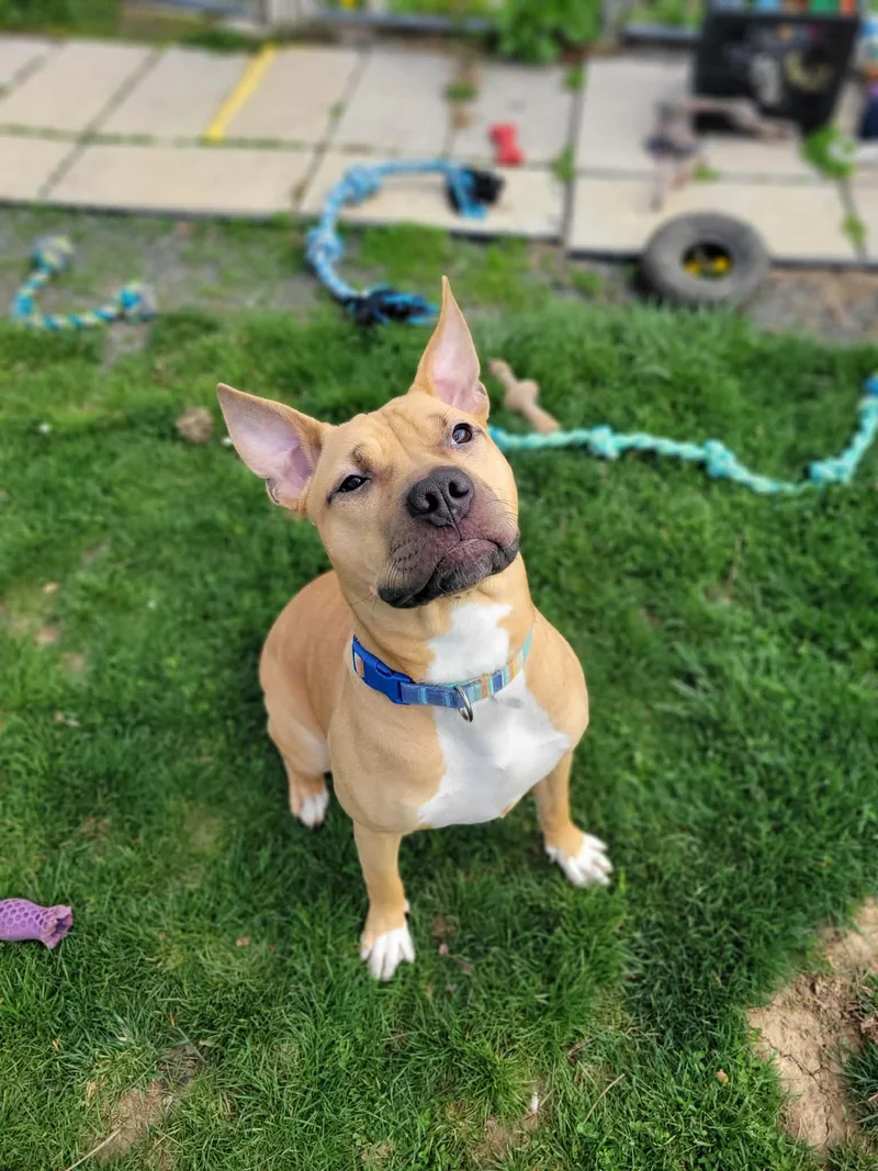 Gunna Simba thumbnail 2