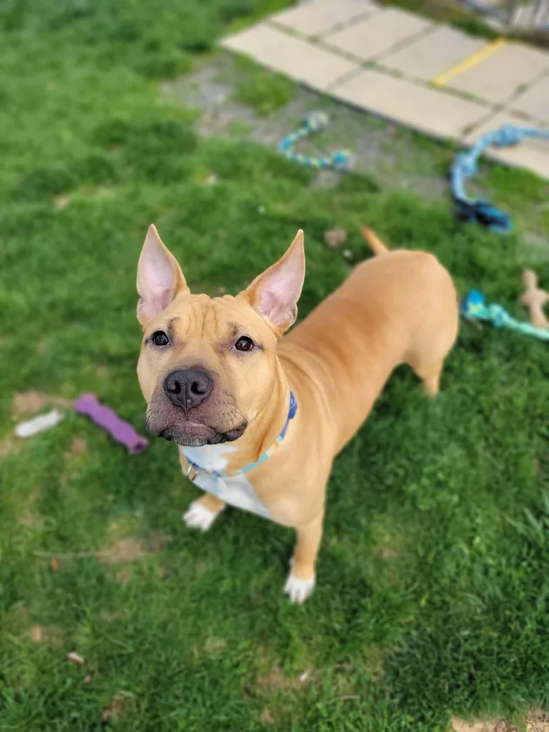 Gunna Simba thumbnail 3