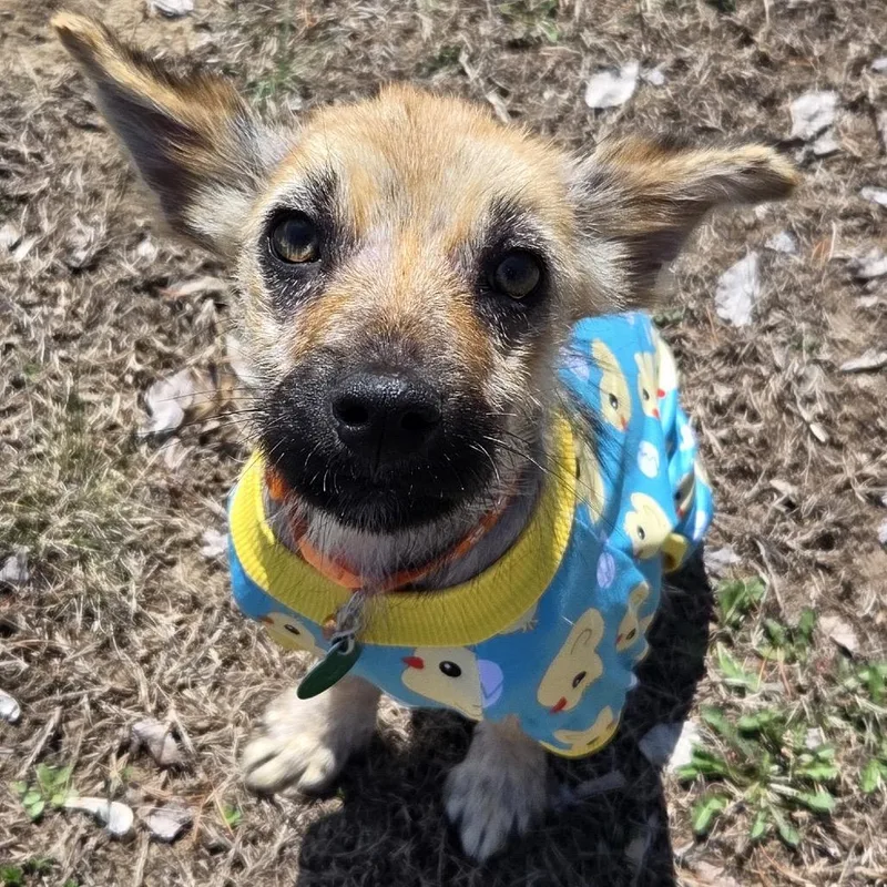 Skittles thumbnail 2