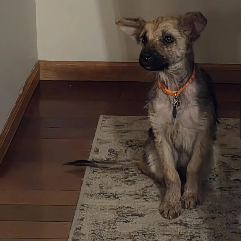 Skittles thumbnail 3