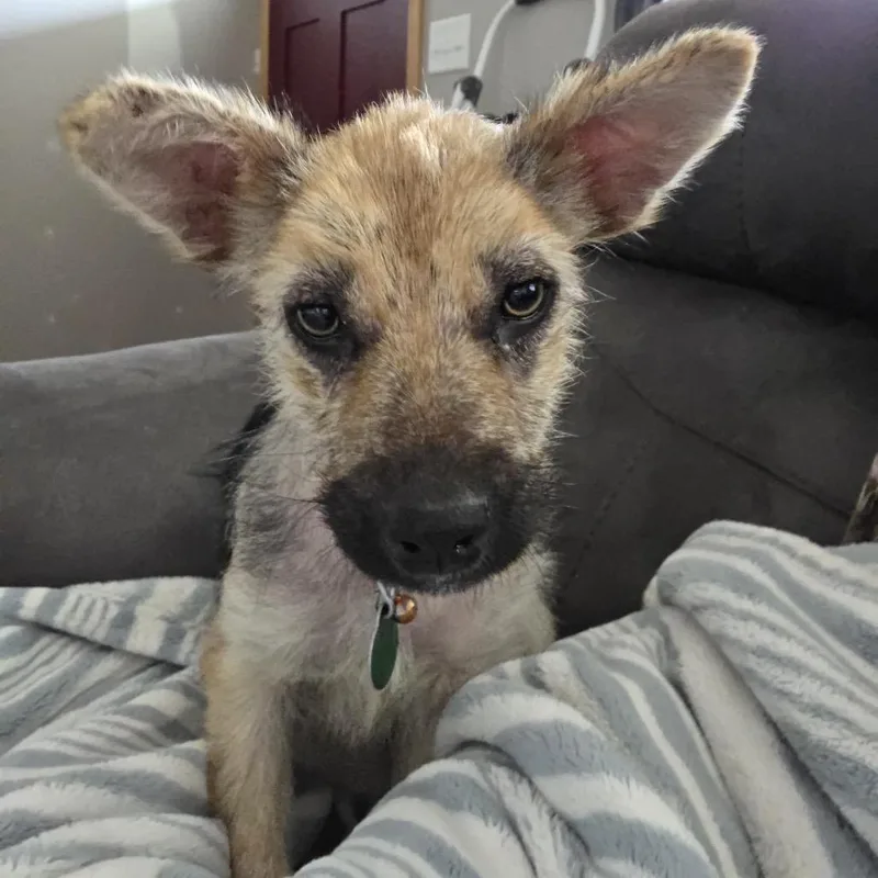 Skittles thumbnail 4