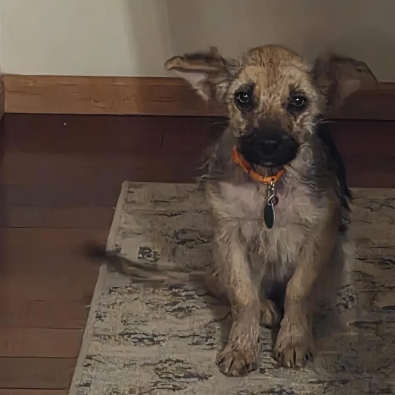 Skittles thumbnail 6