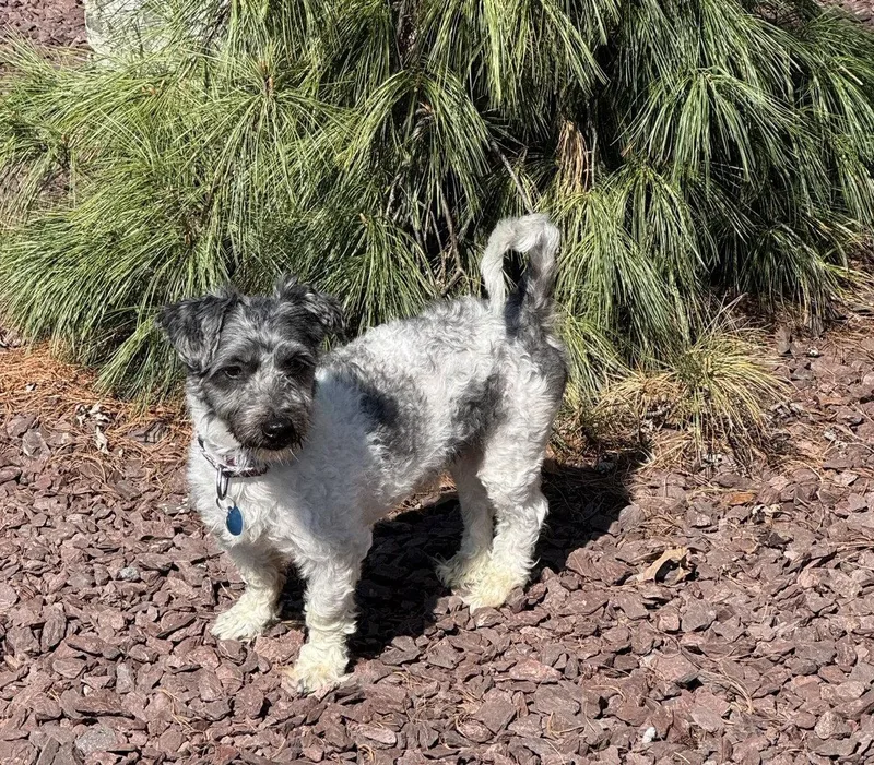 Alex Xavier thumbnail 2