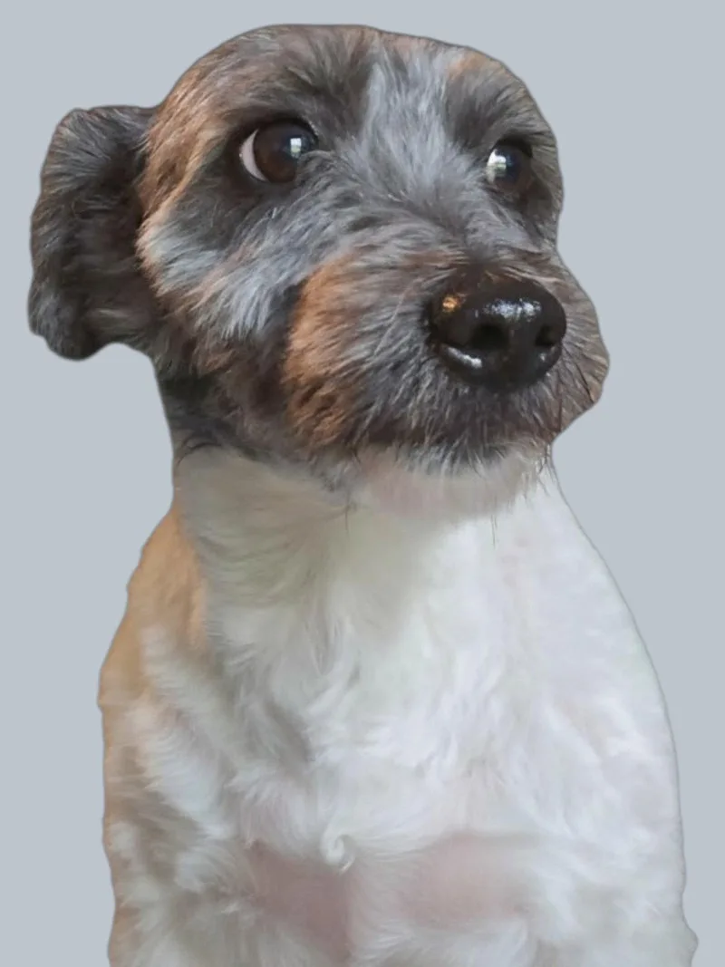 Alex Xavier thumbnail 3