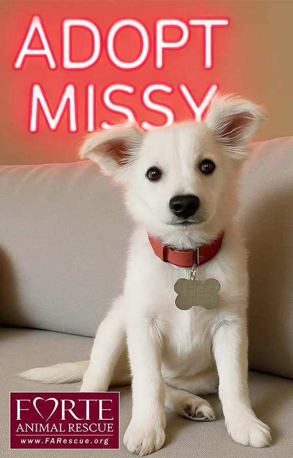 Missy