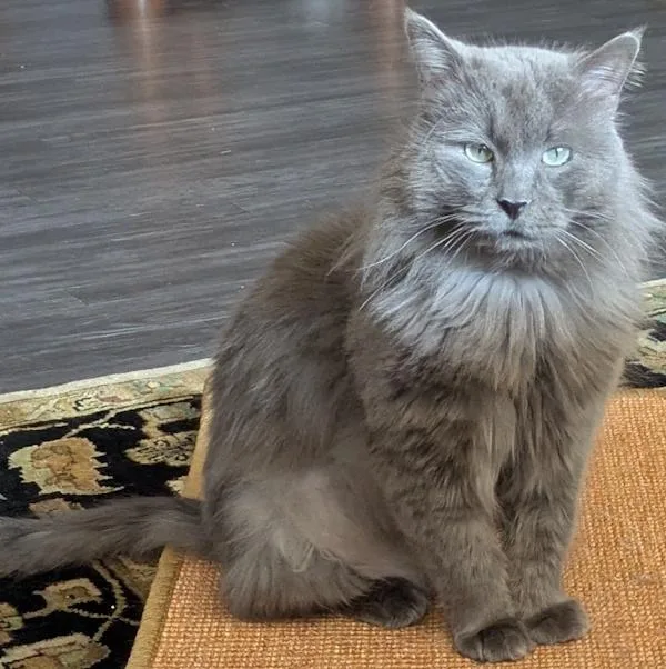 Snuggles thumbnail 2