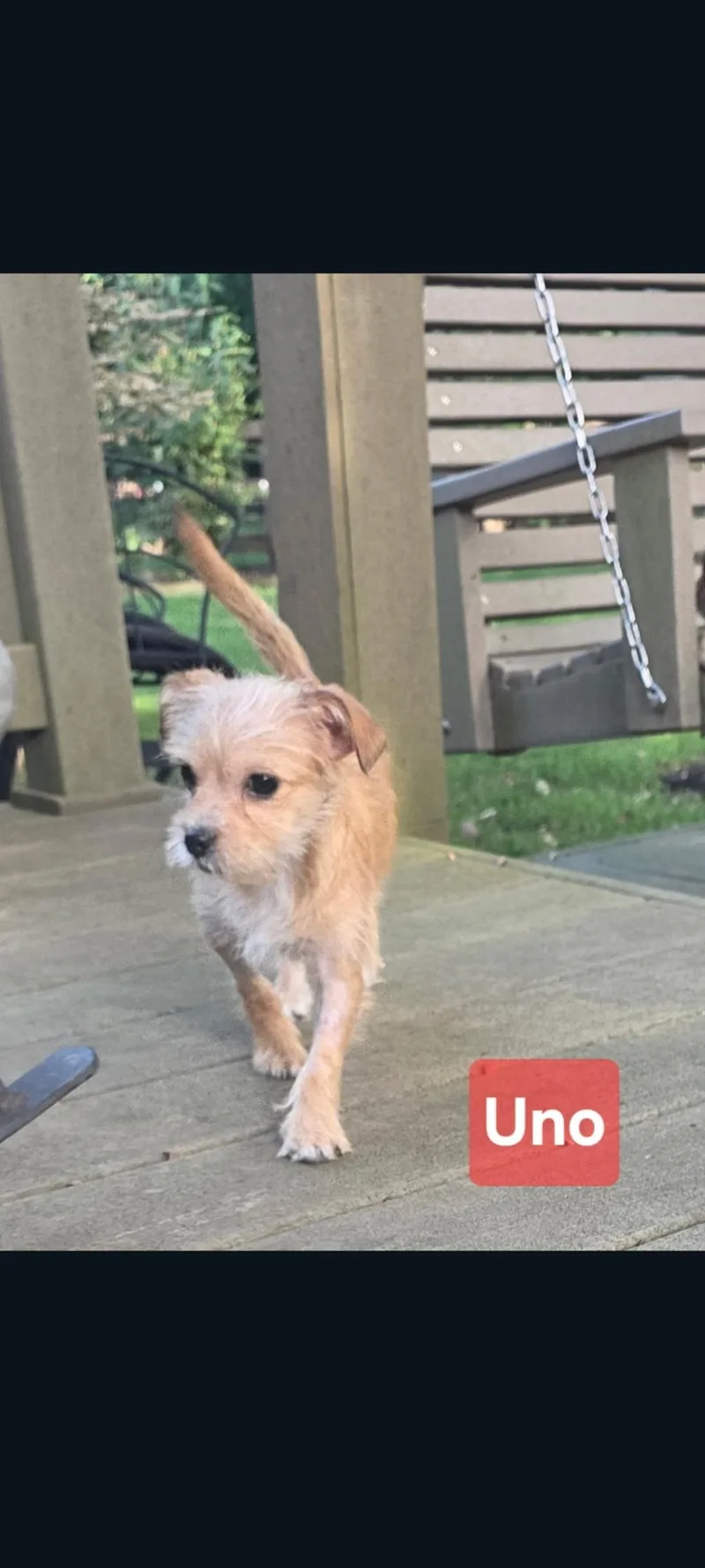 Uno