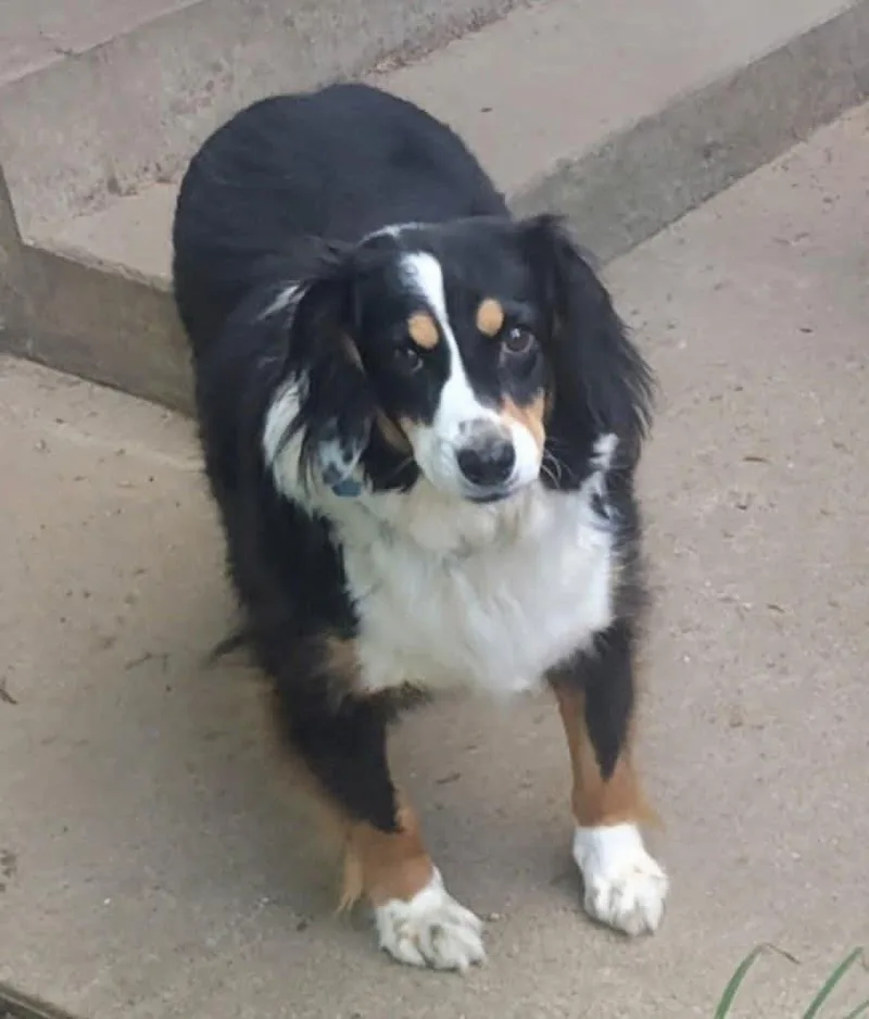 Bonnie Harlan thumbnail 2