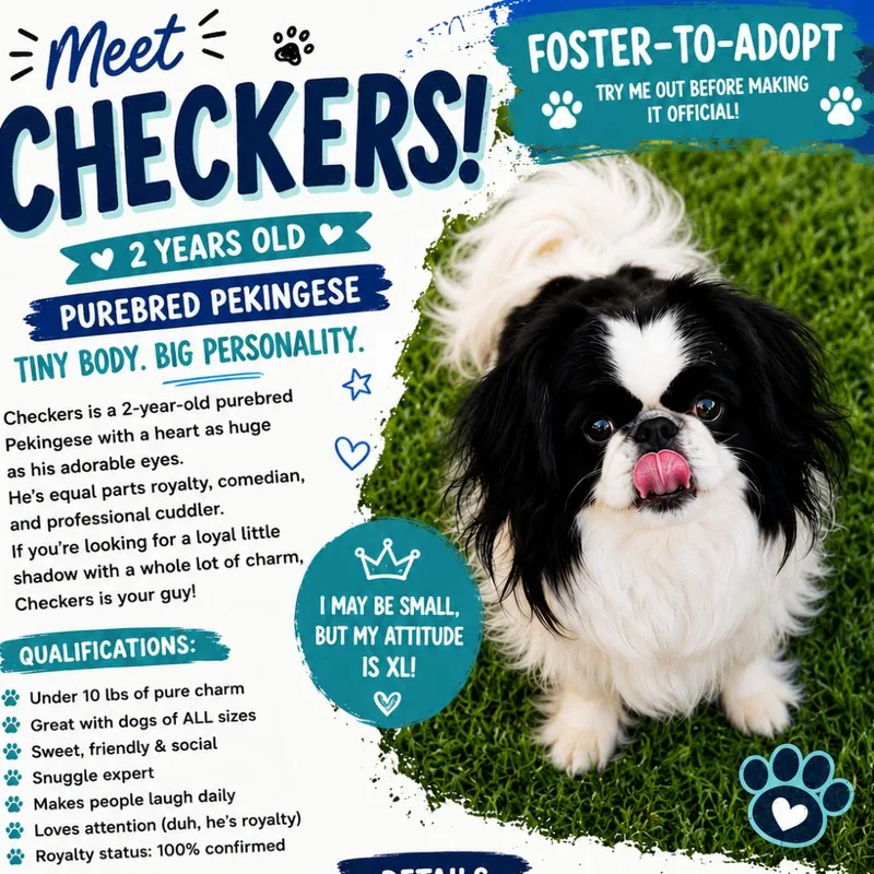 Checkers