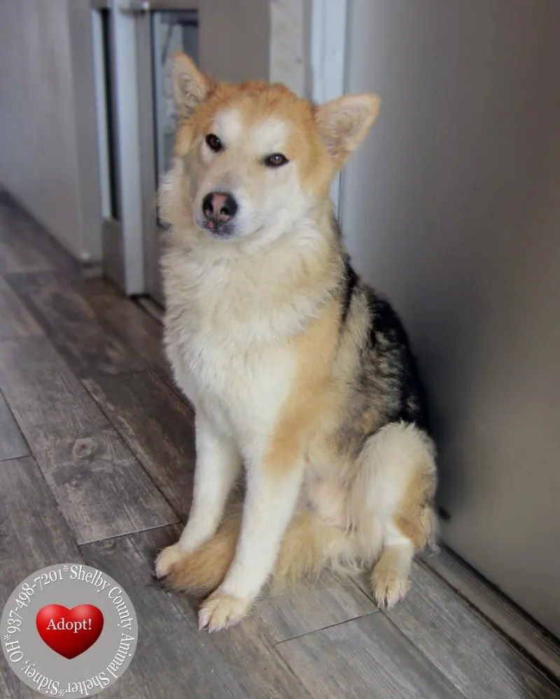 Yodel Yrly thumbnail 3