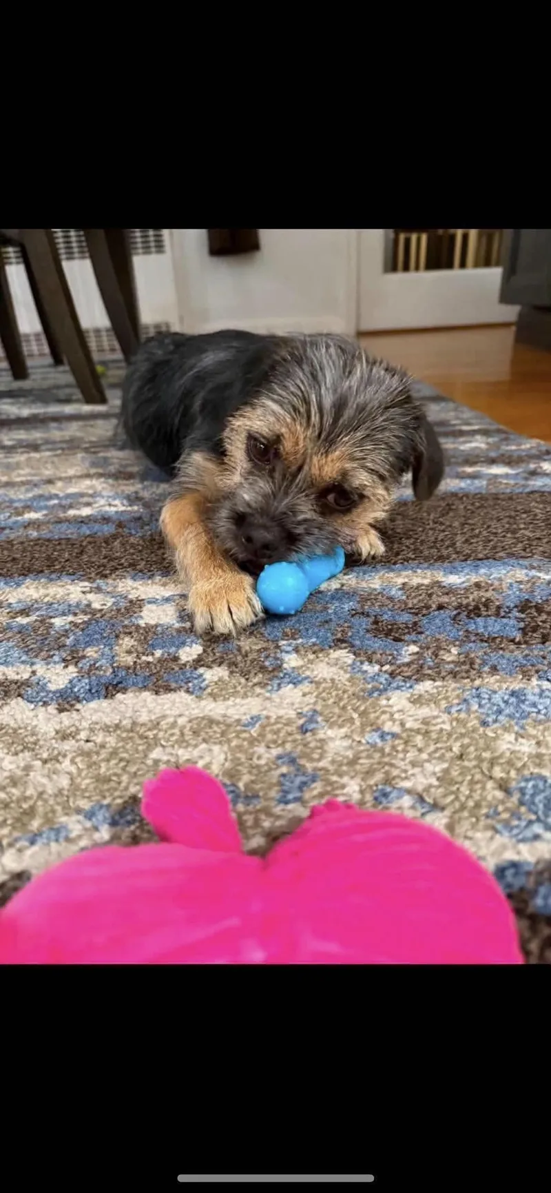 Maggie thumbnail 3