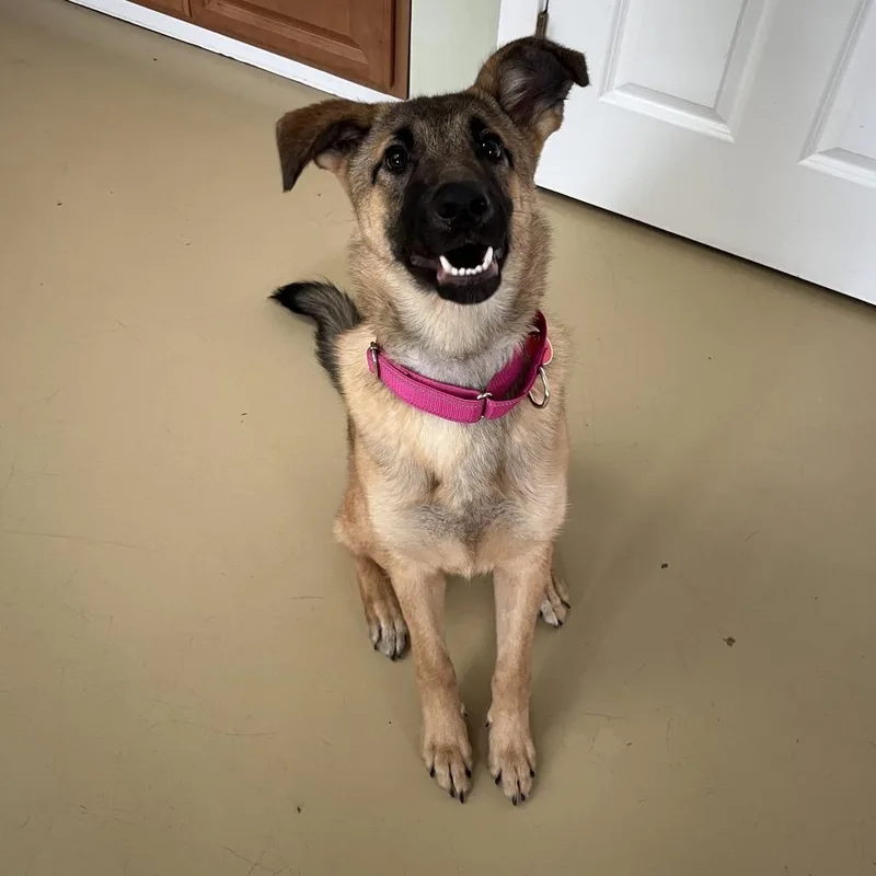 Cierracora thumbnail 4