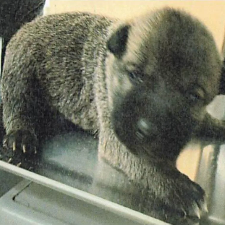 Sherman Oaks thumbnail 2