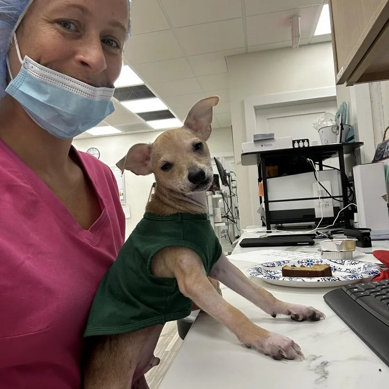 Milo thumbnail 3