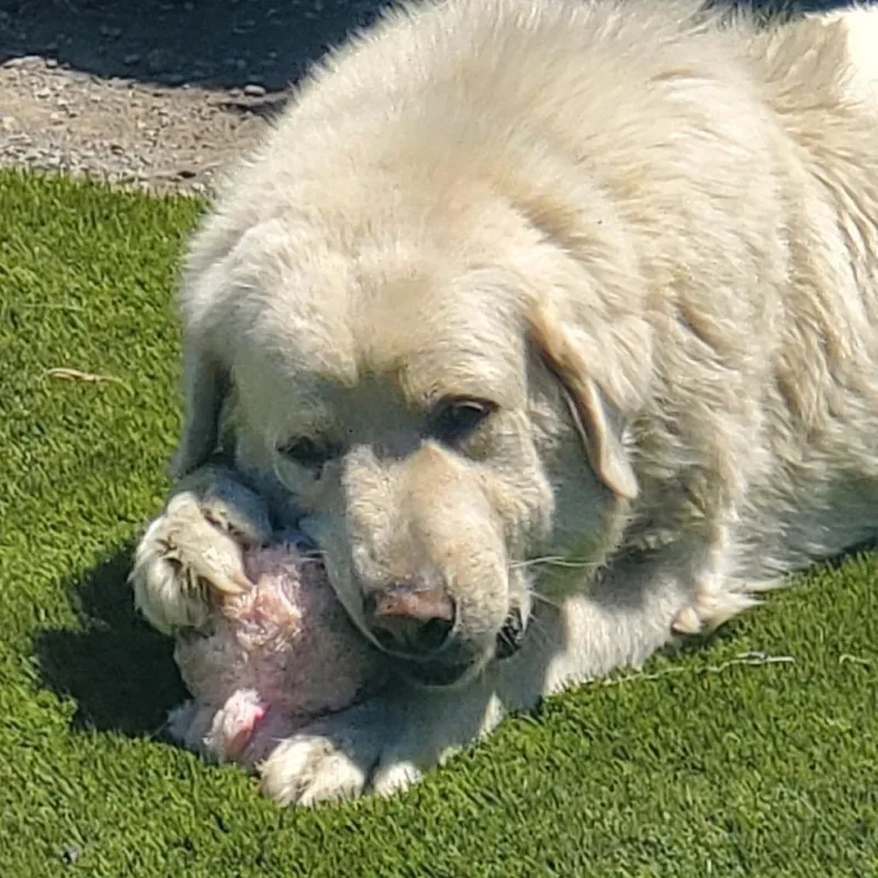 Raya Michelle thumbnail 2