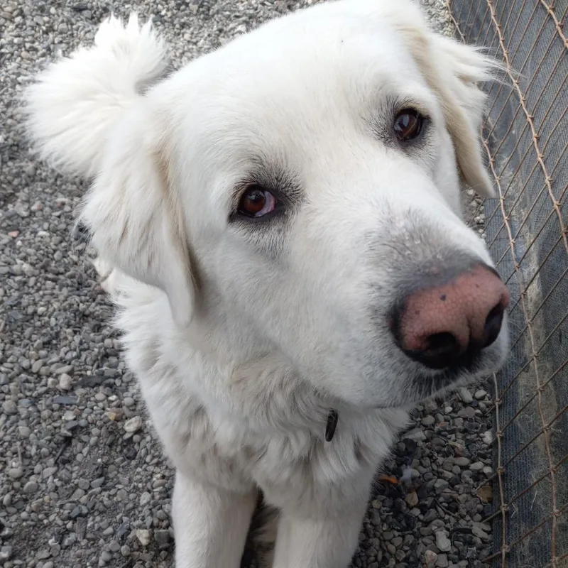 Raya Michelle thumbnail 3