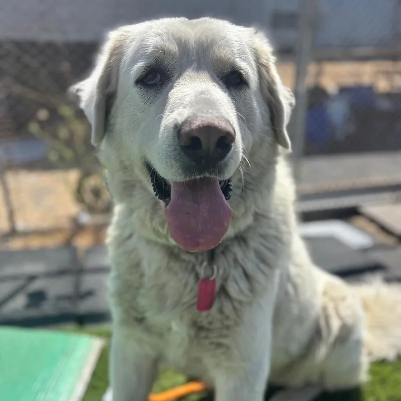 Raya Michelle thumbnail 4