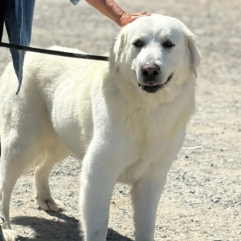 Raya Michelle thumbnail 5