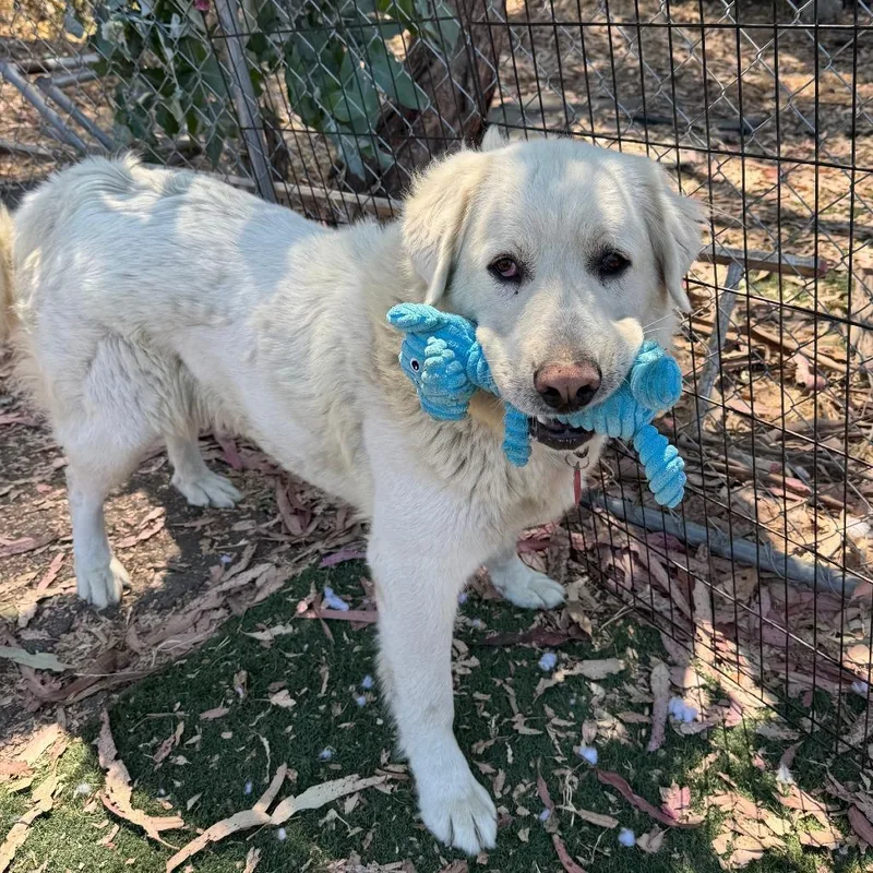 Raya Michelle thumbnail 6